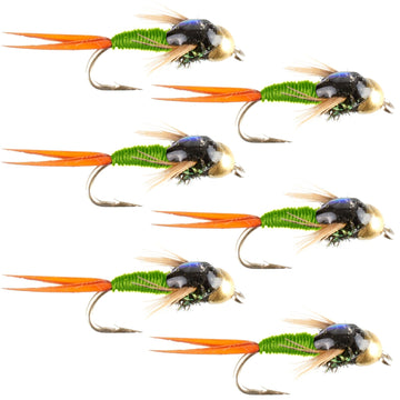 Tungsten Bead Head Chartreuse Copper John Nymph Fly Fishing Flies - Set of 6 Flies Hook Size 12 - Hazy Fly Fishing