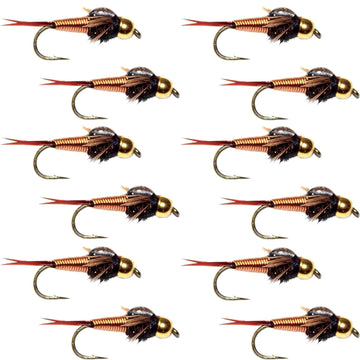 Tungsten Bead Head Copper John Nymph 1 Dozen Fly Fishing Flies - Hook Size 14 - Hazy Fly Fishing
