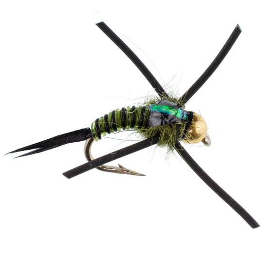 Tungsten Bead Head Rubber Legs Black Olive Zebra Copper John Nymph Fly Fishing Flies - 1 Dozen Flies Hook Size 16 - Hazy Fly Fishing