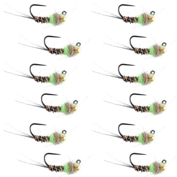 Tungsten Bead Hot Spot Pheasant Tail Tactical Jig Chartreuse Czech Nymph Euro Nymphing Fly - 1 Dozen Flies Size 14 - Hazy Fly Fishing
