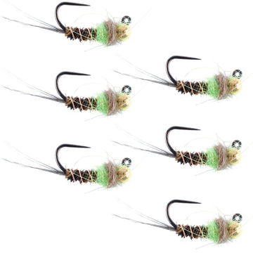 Tungsten Bead Hot Spot Pheasant Tail Tactical Jig Chartreuse Czech Nymph Euro Nymphing Fly - 6 Flies Size 16 - Hazy Fly Fishing
