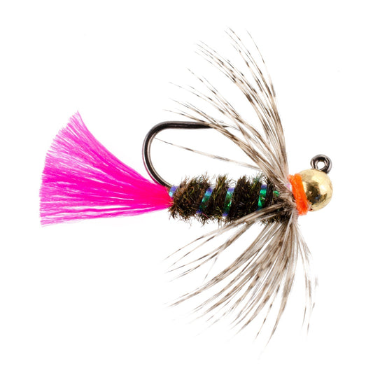 Tungsten Bead Jig Tactical Blow Torch Czech Nymph Euro Nymphing Fly - 6 Flies Size 12 - Hazy Fly Fishing