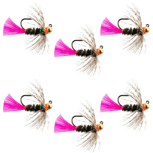 Tungsten Bead Jig Tactical Blow Torch Czech Nymph Euro Nymphing Fly - 6 Flies Size 12 - Hazy Fly Fishing