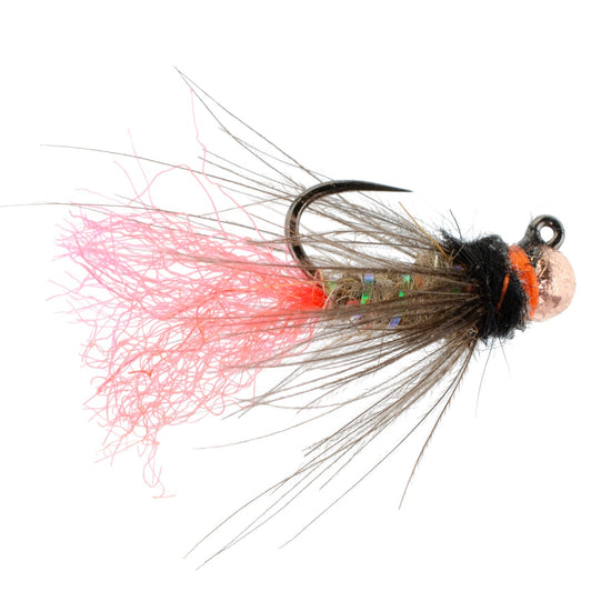 Tungsten Bead Jig Tasmanian Devil Tactical Czech Nymph Euro Nymphing Fly - 1 Dozen Flies Size 14 - Hazy Fly Fishing