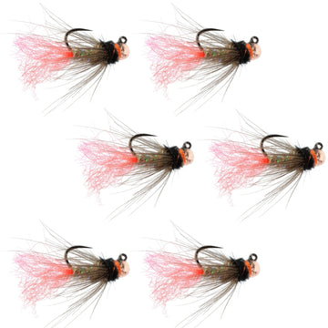 Tungsten Bead Jig Tasmanian Devil Tactical Czech Nymph Euro Nymphing Fly - 6 Flies Size 16 - Hazy Fly Fishing