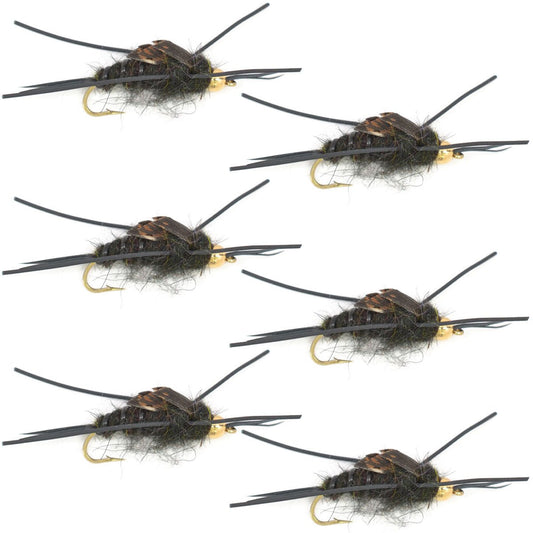 Tungsten Bead Kaufmann's Black Stone Fly with Rubber Legs - Stonefly Wet Fly - 6 Flies Hook Size 6 - Hazy Fly Fishing
