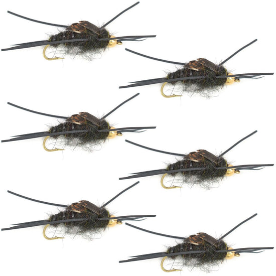 Tungsten Bead Kaufmann's Black Stone Fly with Rubber Legs - Stonefly Wet Fly - 6 Flies Hook Size 8 - Hazy Fly Fishing