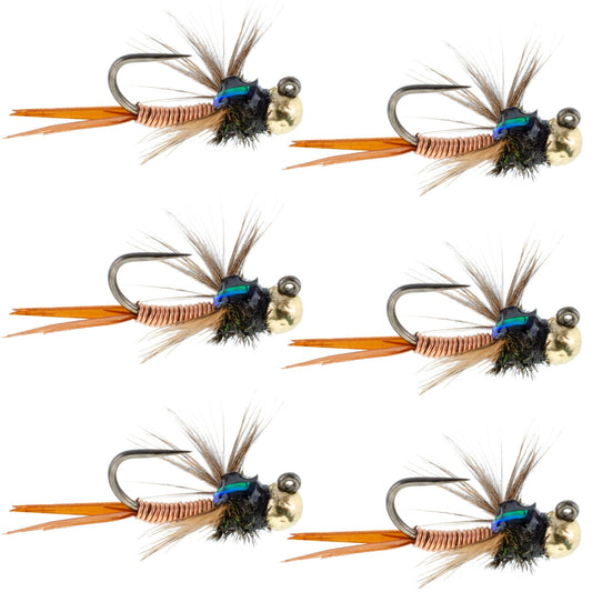 Tungsten Bead Tactical Jig Copper John Czech Nymph Euro Nymphing Fly - 6 Flies Size 12 - Hazy Fly Fishing