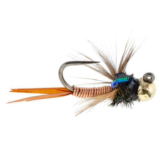 Tungsten Bead Tactical Jig Copper John Czech Nymph Euro Nymphing Fly - 6 Flies Size 12 - Hazy Fly Fishing