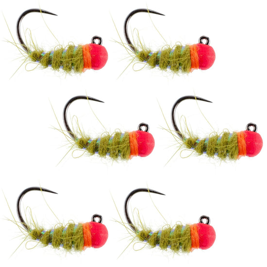 Tungsten Hot Bead Walt's Worm Jig Tactical Czech Nymph Euro Nymphing Fly - 6 Flies Hook Size 12 - Hazy Fly Fishing