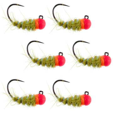 Tungsten Hot Bead Walt's Worm Jig Tactical Czech Nymph Euro Nymphing Fly - 6 Flies Hook Size 12 - Hazy Fly Fishing