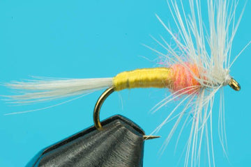 Tups Indispensable - Hazy Fly Fishing