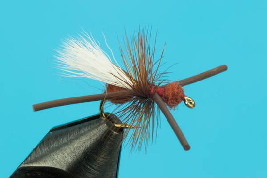 Turck's Power Ant - Hazy Fly Fishing