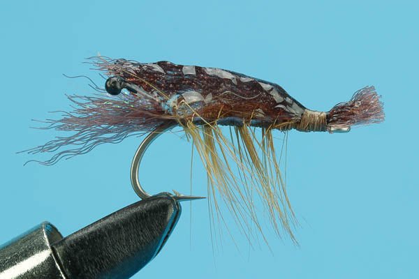 Ultra Shrimp - Hazy Fly Fishing