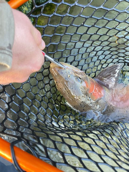 Ultralight - Hazy Fly Fishing