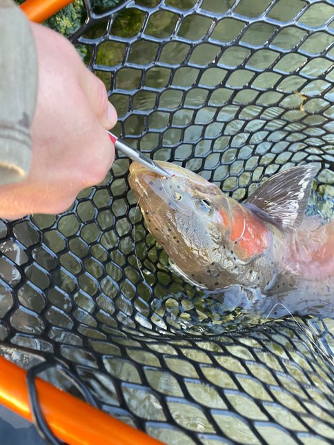 Ultralight - Hazy Fly Fishing