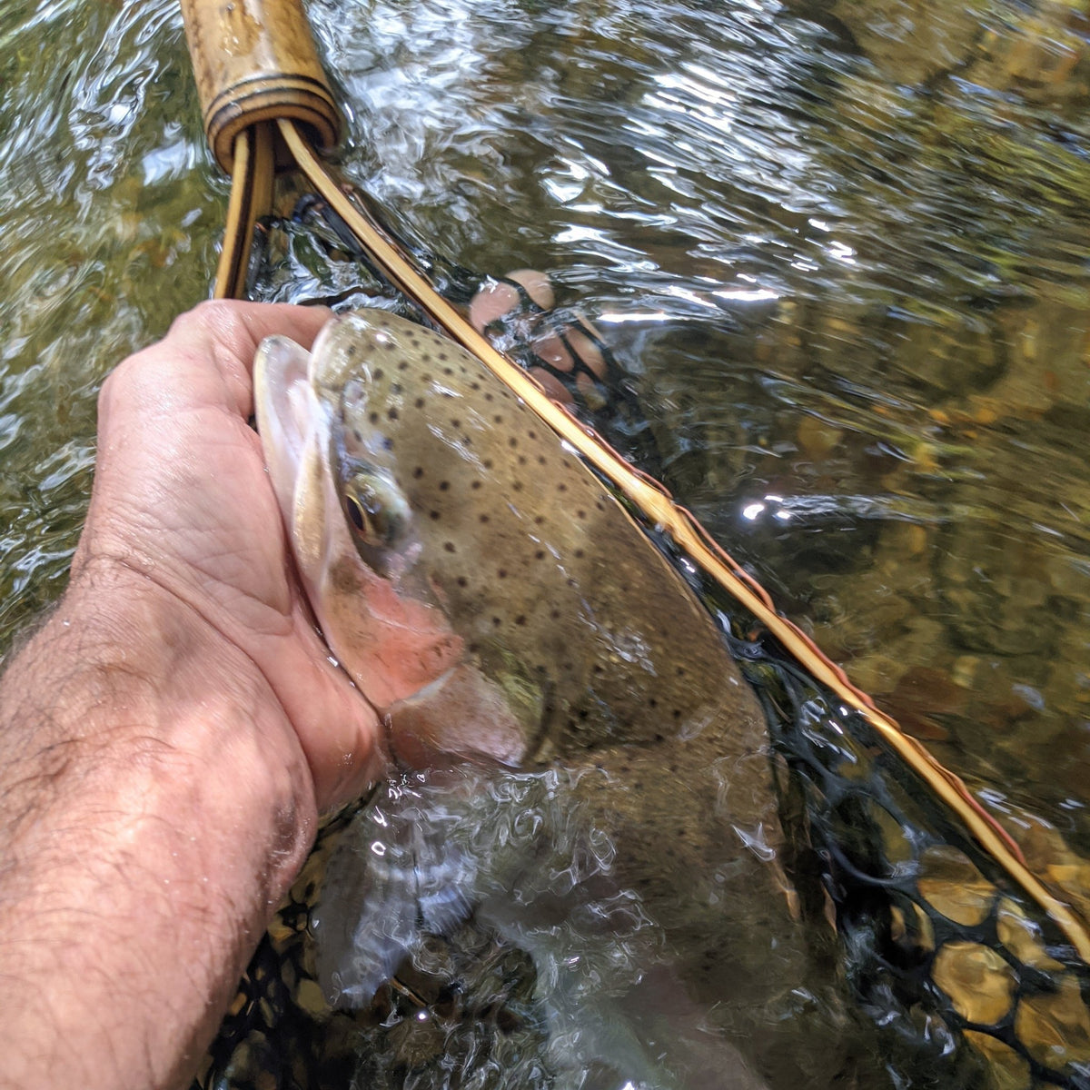 Upstream Wide - Hazy Fly Fishing