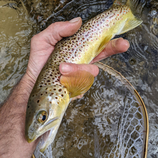 Upstream Wide - Hazy Fly Fishing