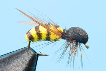 Wasp - Hazy Fly Fishing