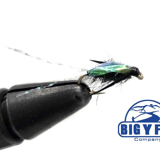 Waterboatman - Hazy Fly Fishing