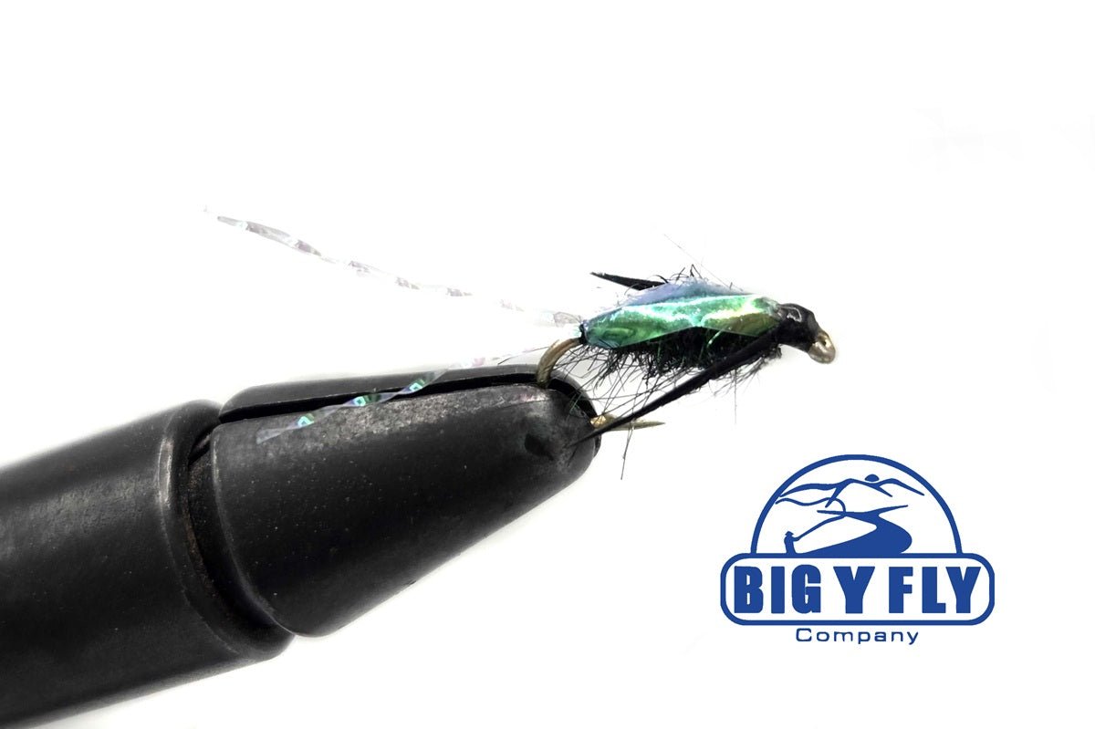 Waterboatman - Hazy Fly Fishing
