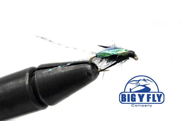 Waterboatman - Hazy Fly Fishing