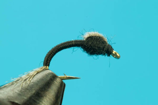 WD - 40 - Hazy Fly Fishing