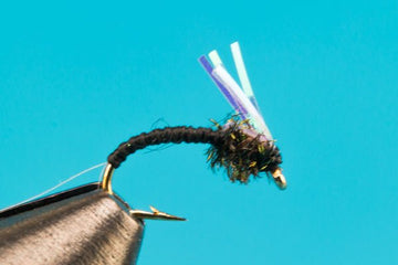 WD - 40 Flash - Hazy Fly Fishing