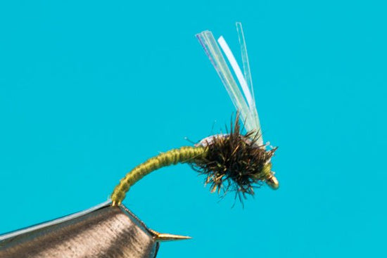WD - 40 Flash - Hazy Fly Fishing