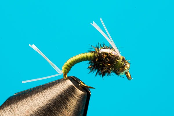 WD - 40 Flash - Beadhead - Hazy Fly Fishing