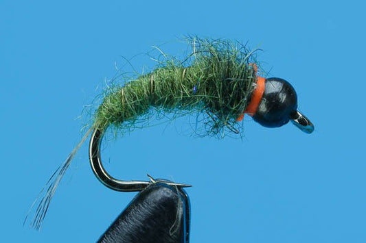 Weevil - Beadhead - Hazy Fly Fishing