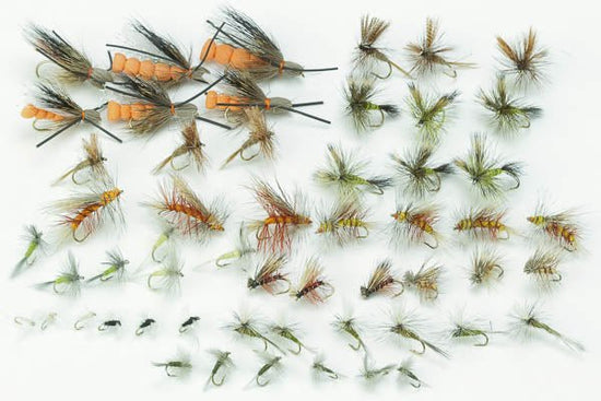Western Dry Fly Assortment - 54 Flies 57 - Hazy Fly Fishing