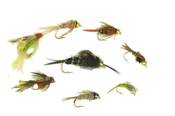 Western Nymph Assortment - 48 Flies 58 - Hazy Fly Fishing