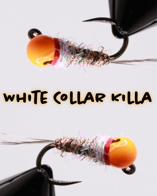 White Collar Killa - Hazy Fly Fishing