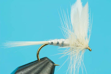 White Miller - Hazy Fly Fishing