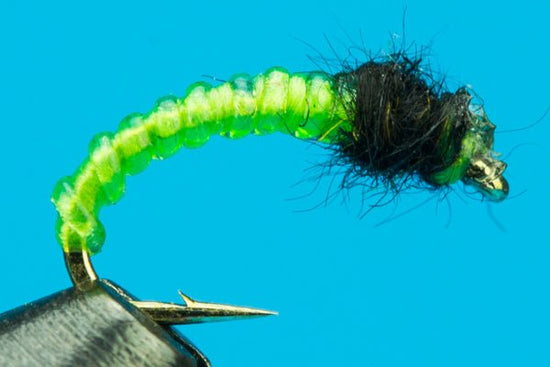 Willow Grub - Hazy Fly Fishing
