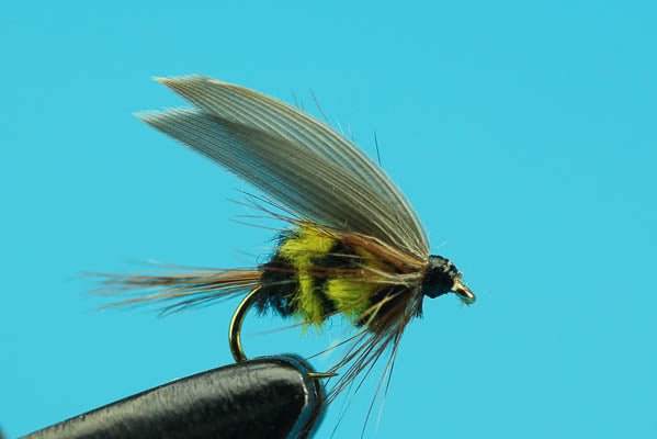 Wing Bee - Hazy Fly Fishing