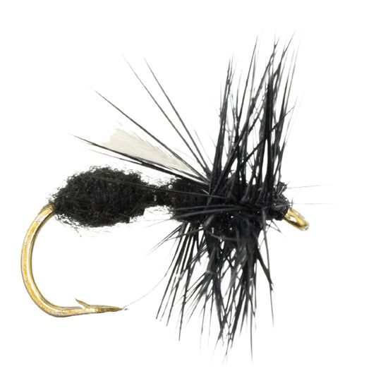 Winged Black Ant, Size 12 | Qty. 6 | Wild Water Fly Fishing - Hazy Fly Fishing