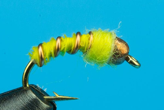 Winter Caddis Larva - Beadhead - Hazy Fly Fishing