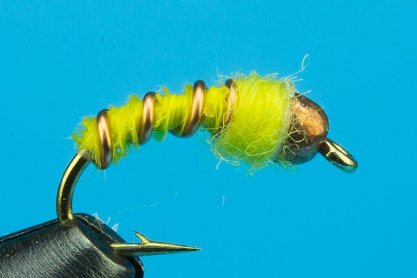 Winter Caddis Larva - Beadhead - Hazy Fly Fishing
