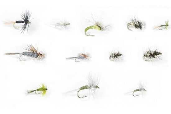 Winter Trout Dries Assortment - 24 Flies 60 - Hazy Fly Fishing
