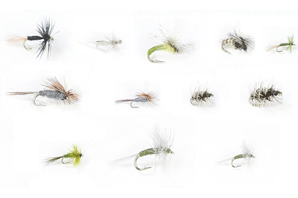 Winter Trout Dries Assortment - 24 Flies 60 - Hazy Fly Fishing