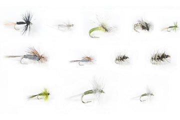 Winter Trout Dries Assortment - 24 Flies 60 - Hazy Fly Fishing