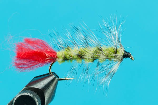Woolly Worm - Hazy Fly Fishing