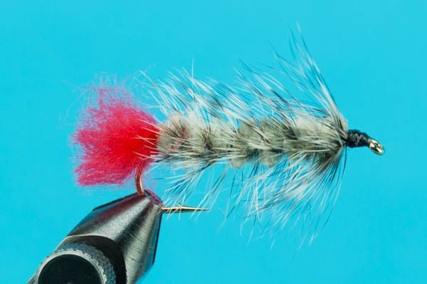 Woolly Worm - Hazy Fly Fishing