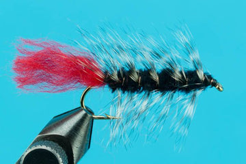 Woolly Worm - Hazy Fly Fishing