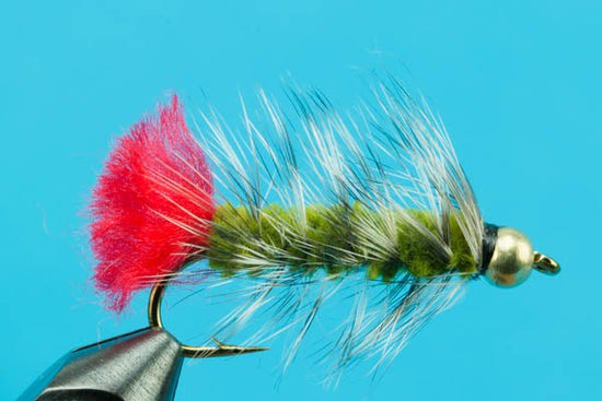 Woolly Worm - Beadhead - Hazy Fly Fishing