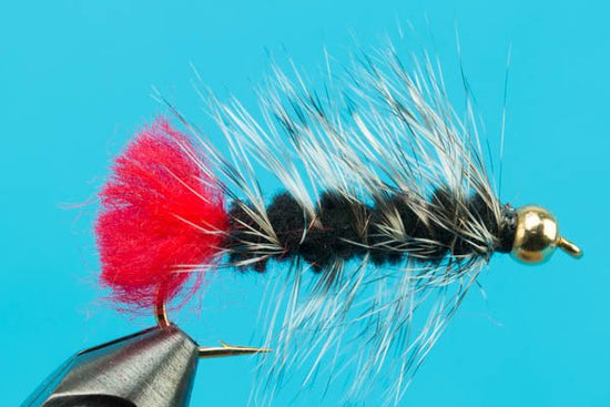 Woolly Worm - Beadhead - Hazy Fly Fishing