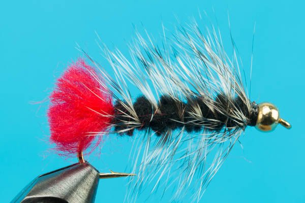 Woolly Worm - Beadhead - Hazy Fly Fishing