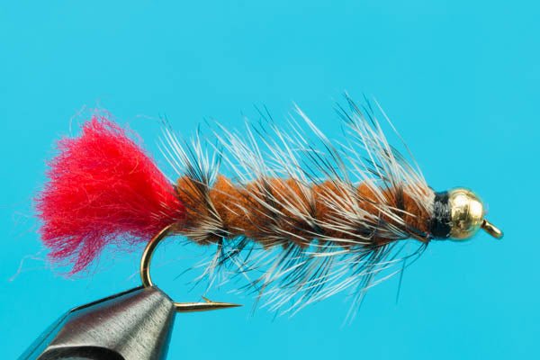 Woolly Worm - Beadhead - Hazy Fly Fishing
